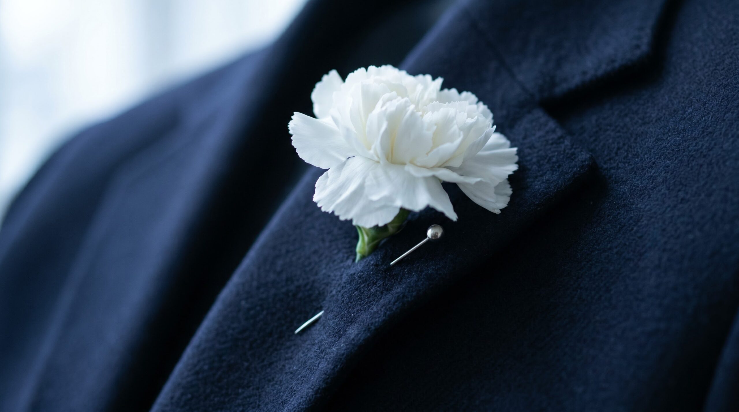 a single white carnation pinned to a lapel