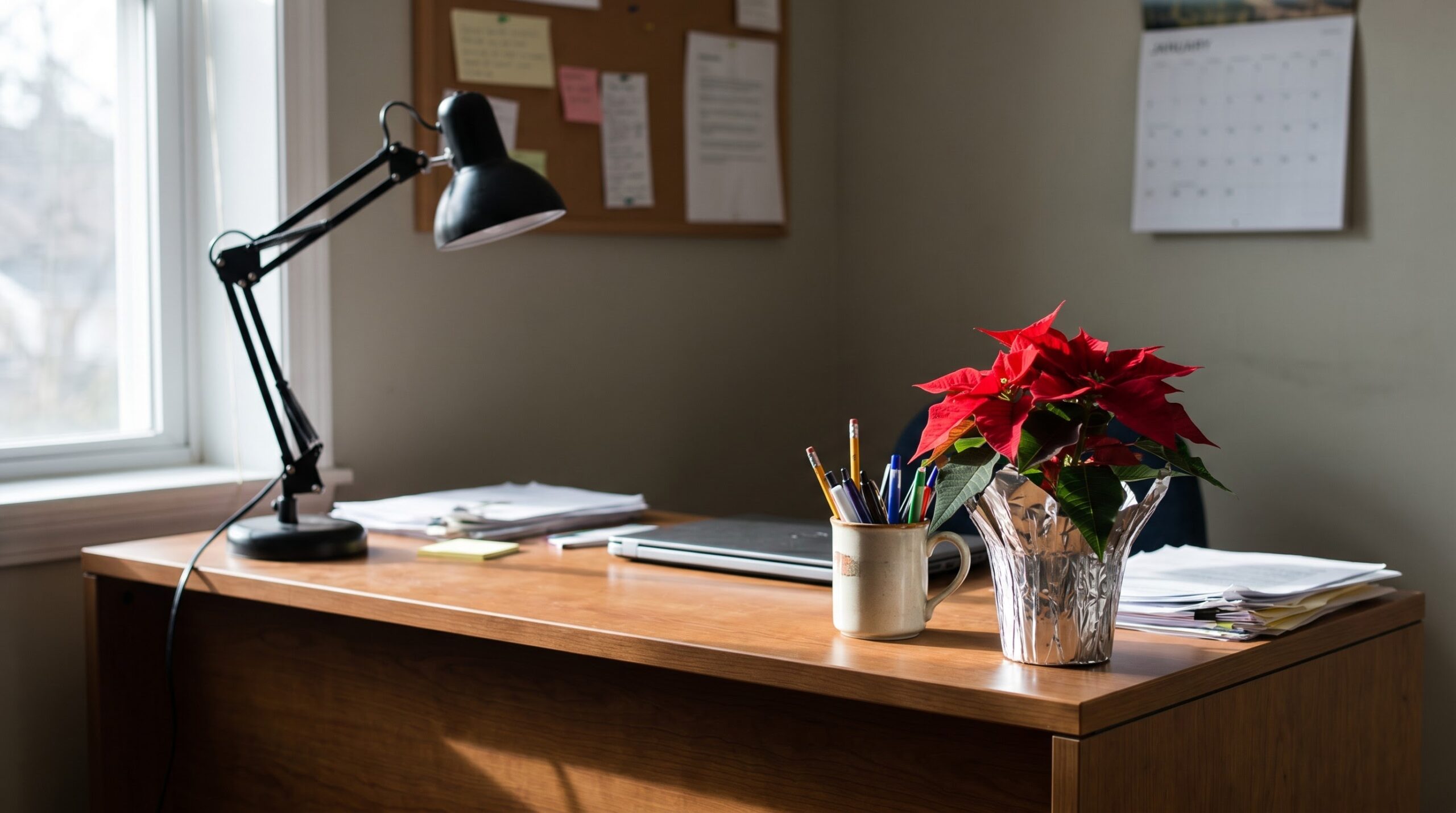 a potted poinsettia sitting on a teacher's office desk