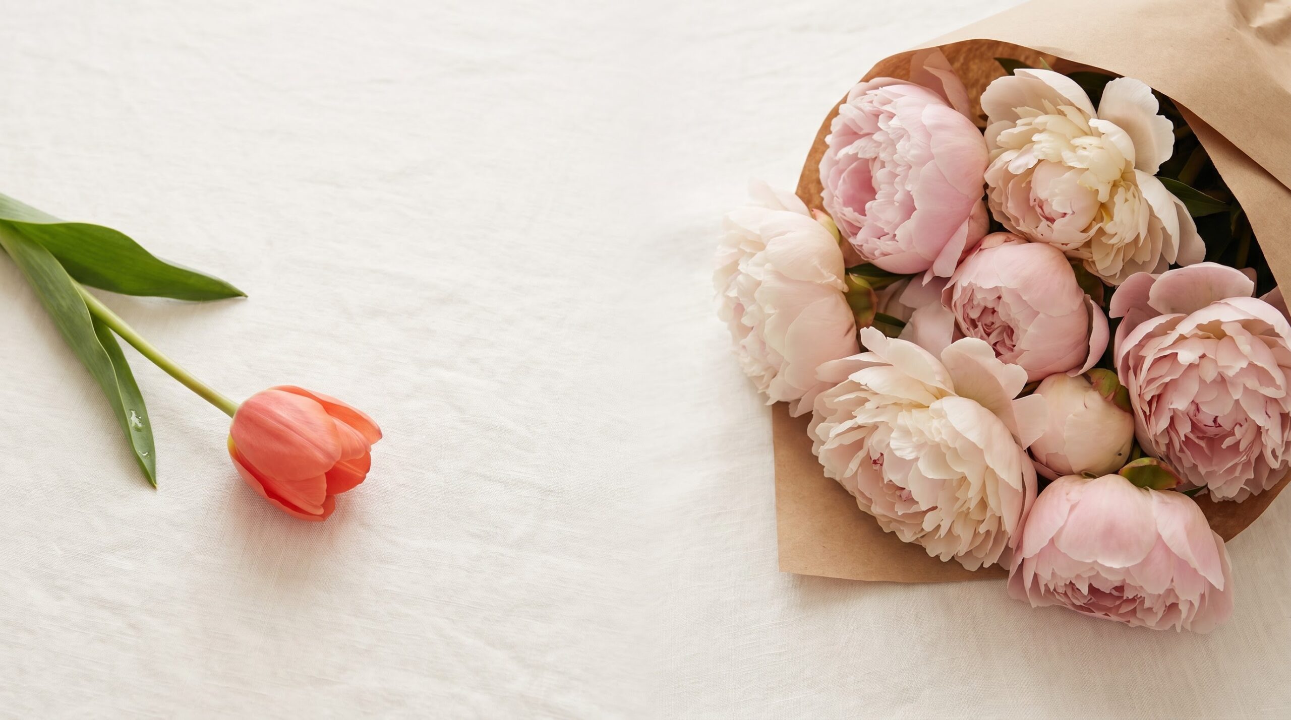 one tulip stem beside a full peony bouquet showing size contrast