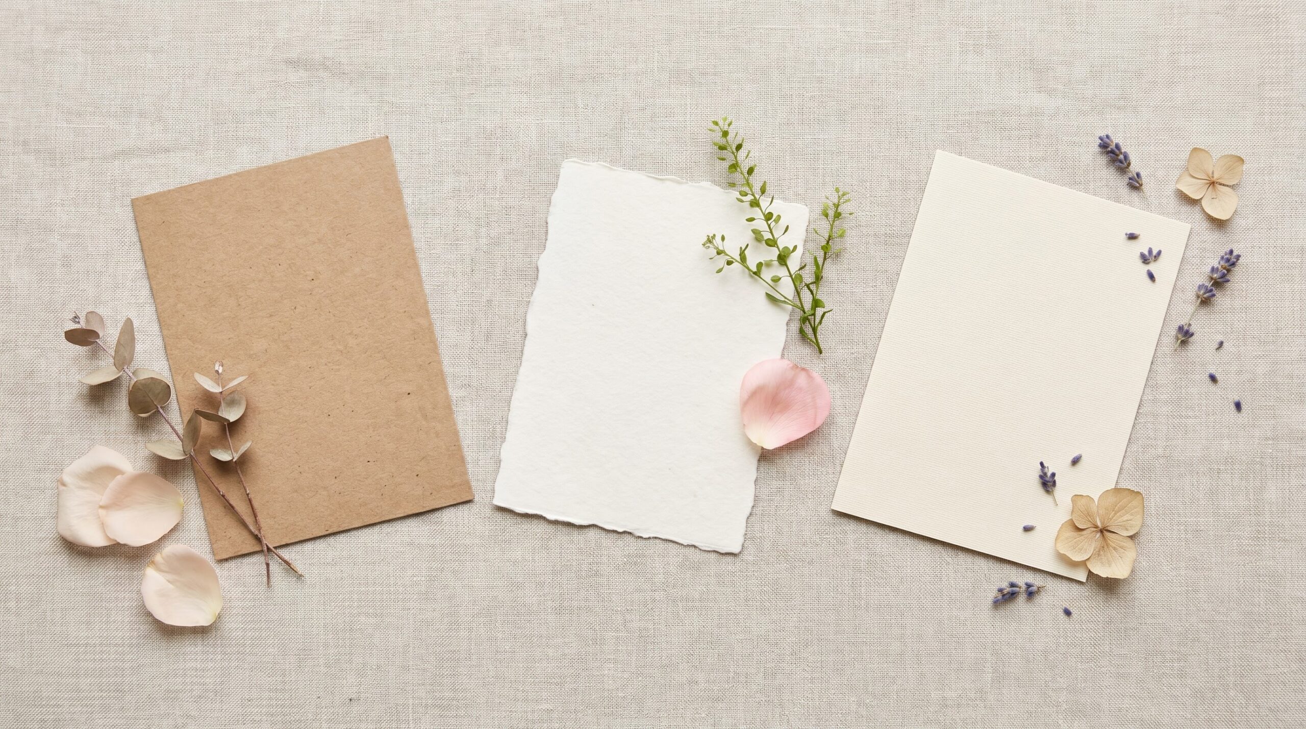 three blank note cards laid out beside scattered flower petals