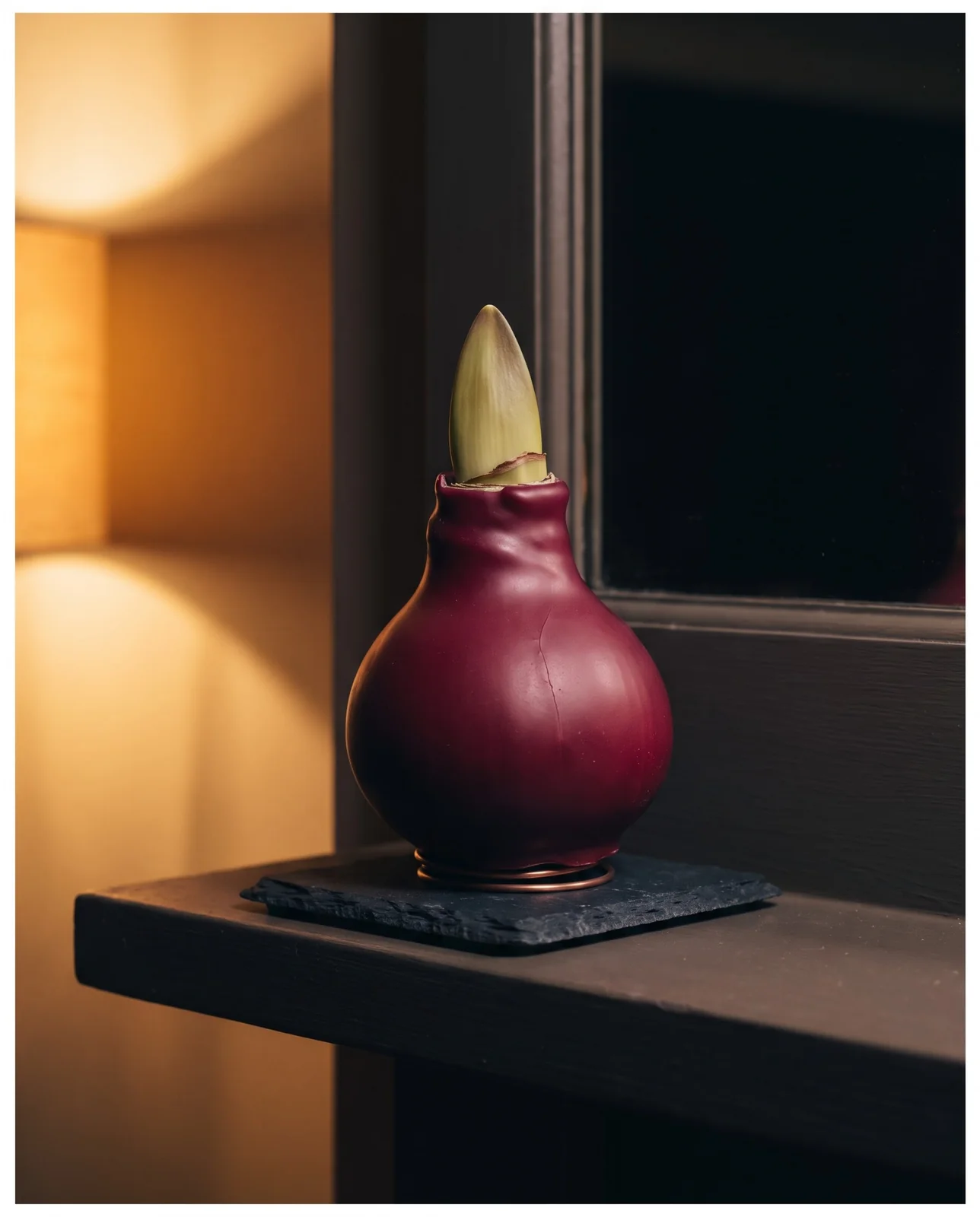 Waxed amaryllis bulb with emerging sprout standing on mantelpiece