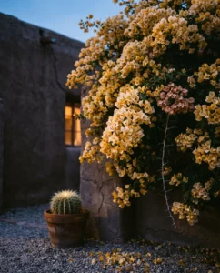 bougainvillea gallery dusk gold wall