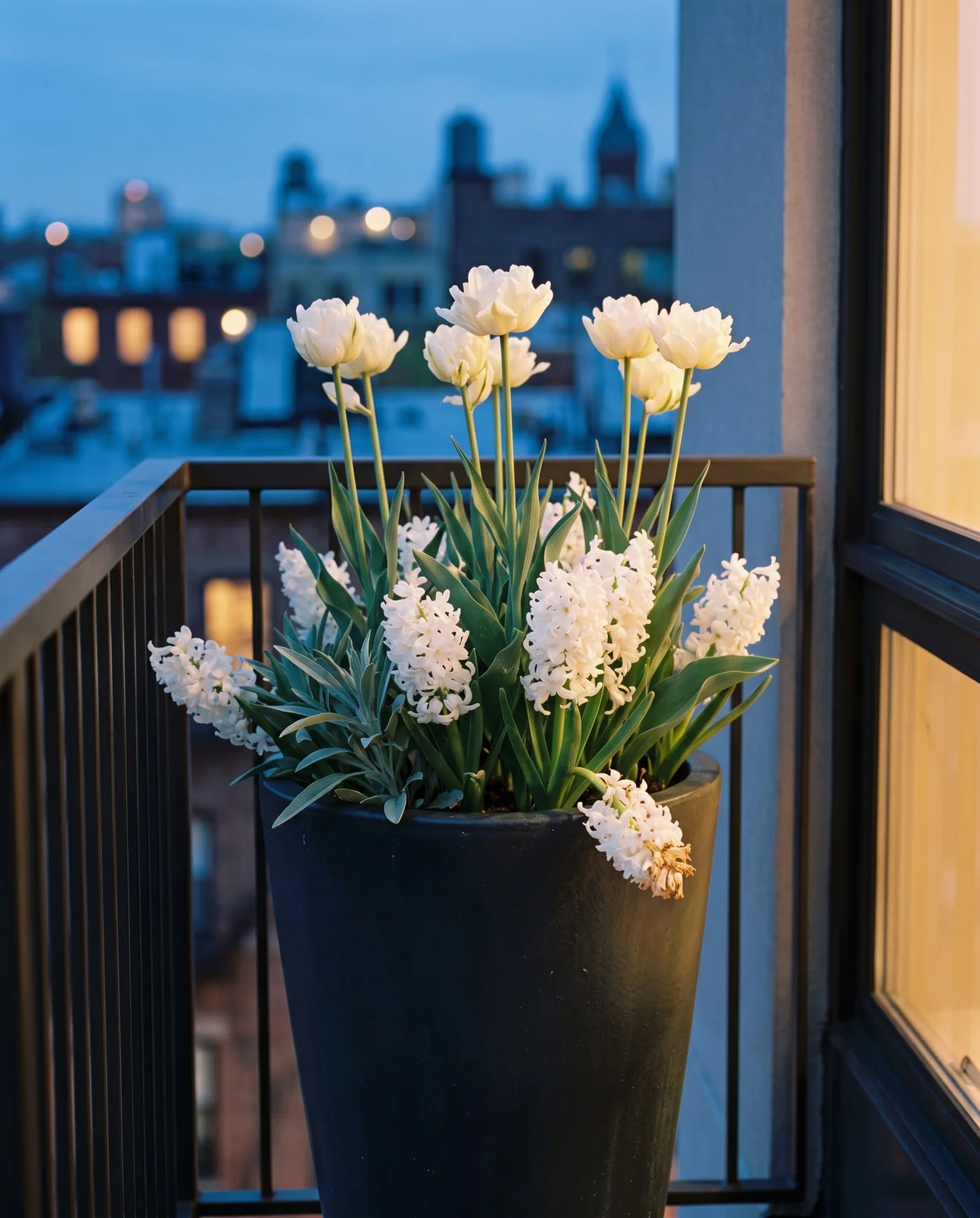 White tulips and hyacinths blooming in a tall glazed balcony container.