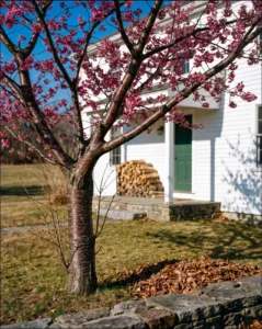 cherry blossom gallery farmhouse sargent