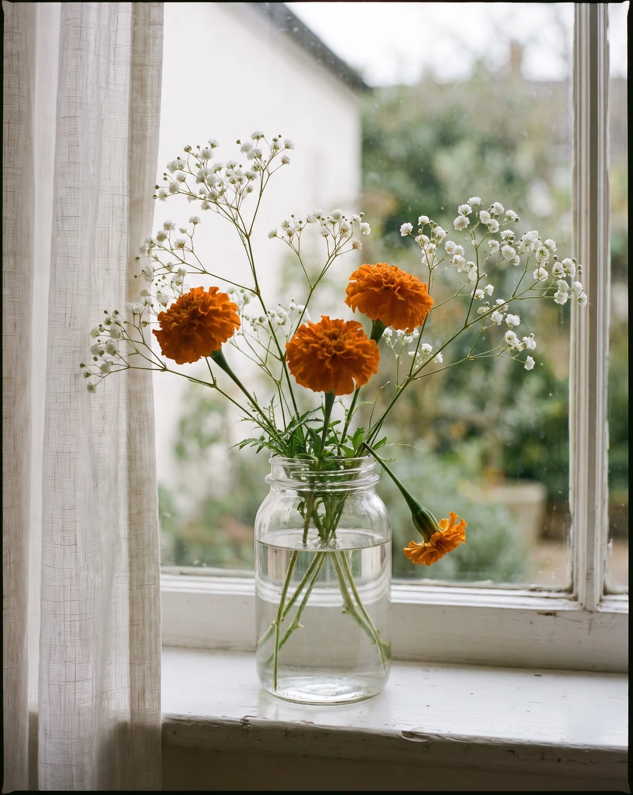 White baby's breath and orange marigolds in glass jar on windowsill