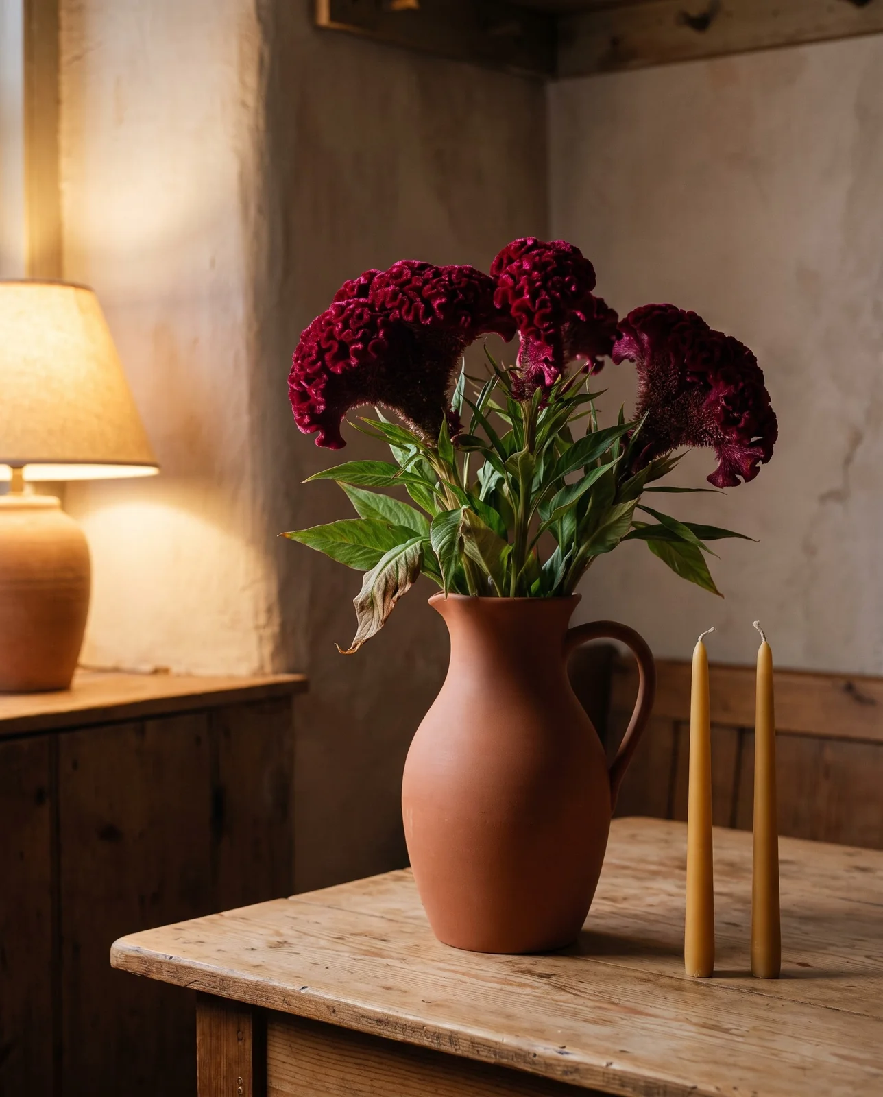 Deep red cockscomb flowers in clay vase on wooden evening table