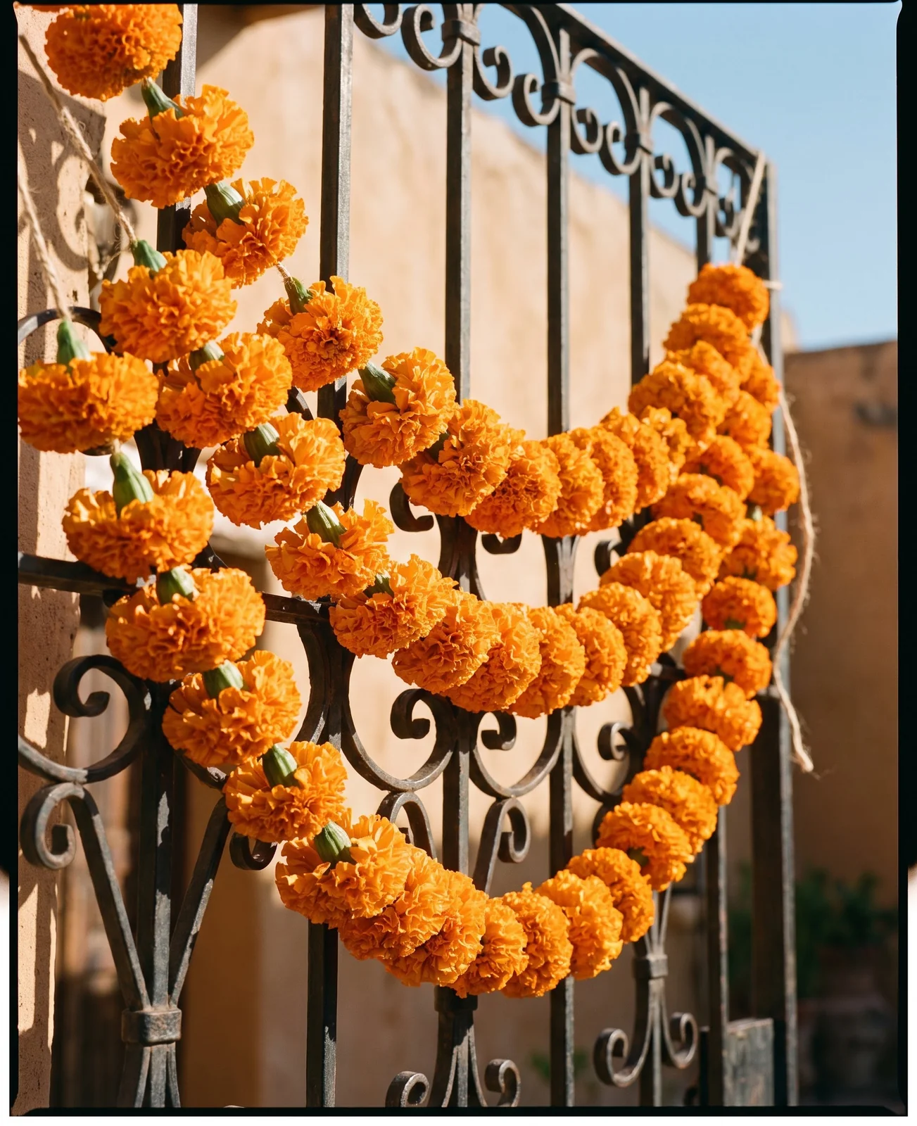Marigold flower garland draped over wrought iron gate in afternoon sun