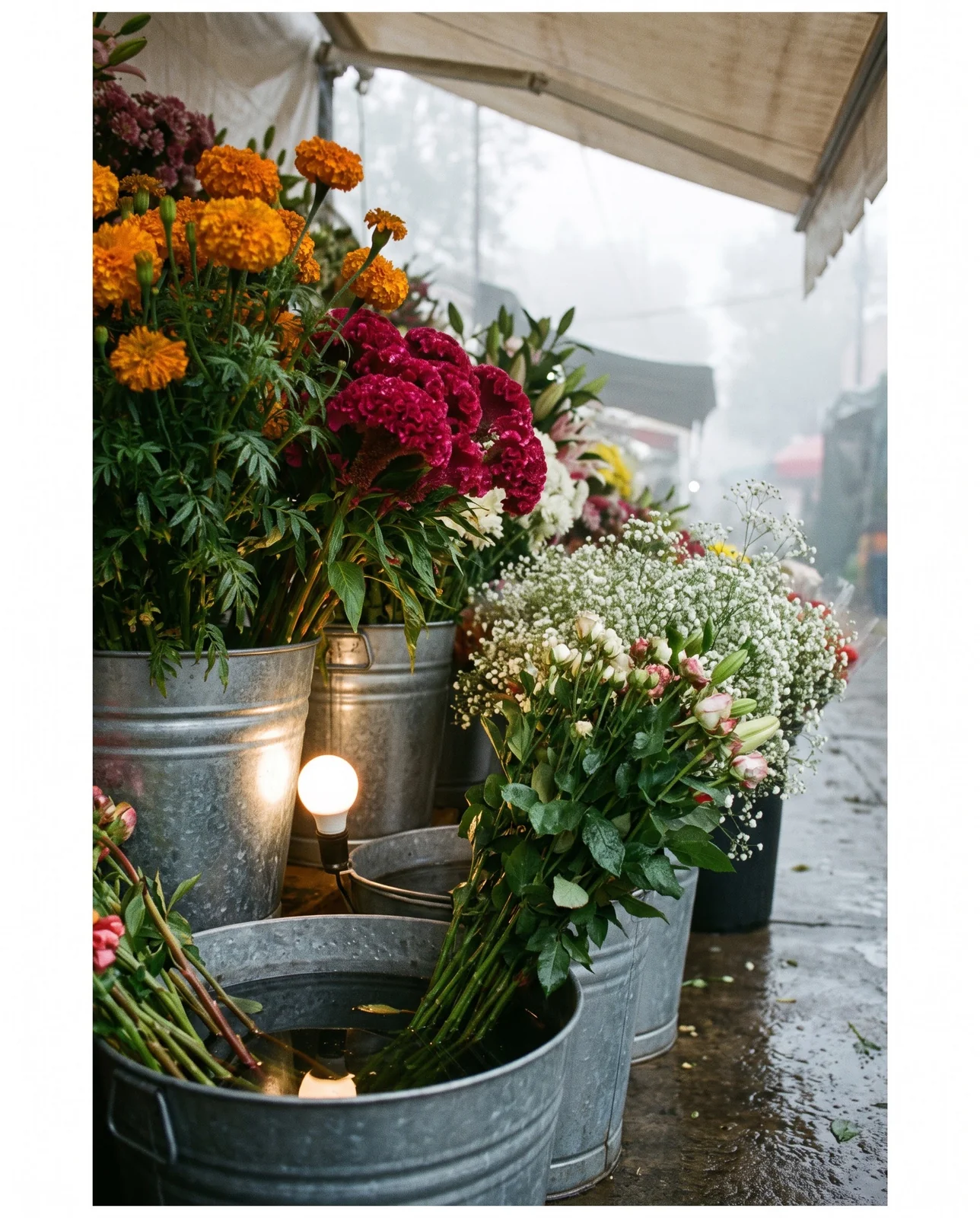 Galvanized buckets of cut marigolds, cockscomb, and baby's breath at market