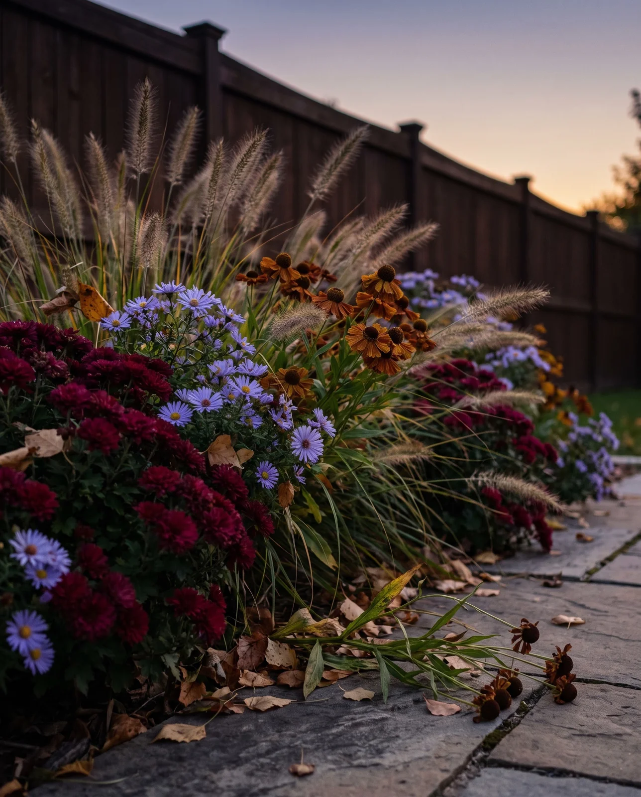 Mixed autumn perennial flower border with grasses at twilight