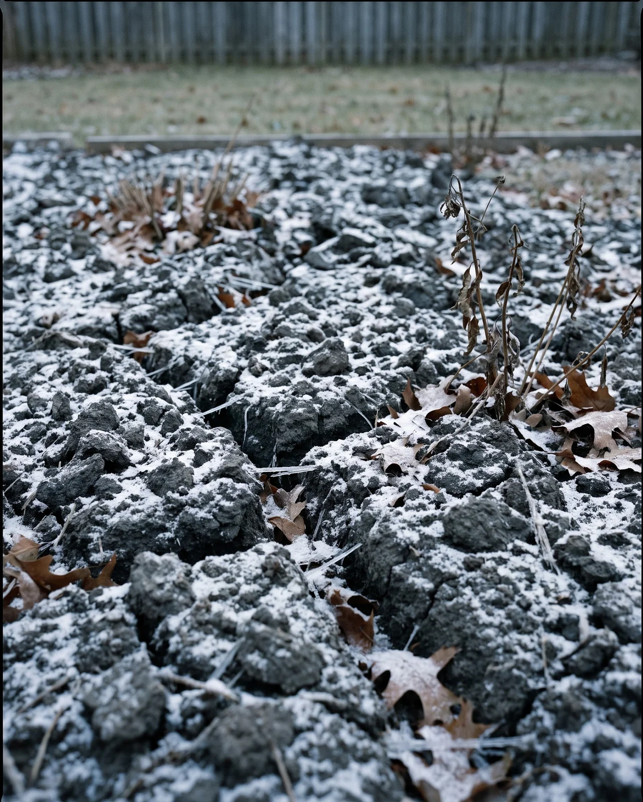 Light dusting of snow over frozen bare soil in winter garden
