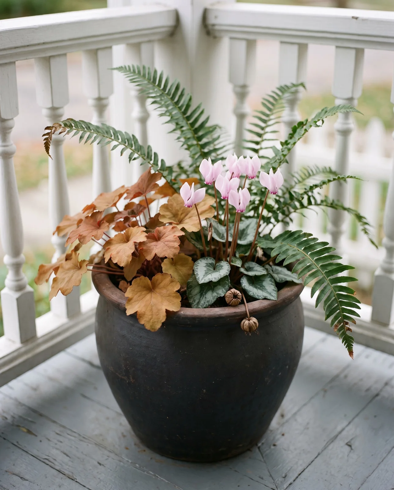 Heuchera, cyclamen, and fern arrangement in shade pot on porch