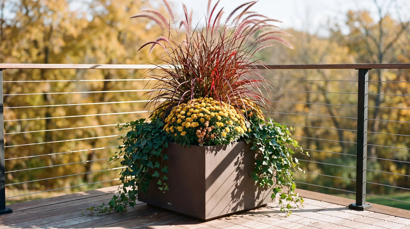 Container with fountain grass thriller, mum filler, and ivy spiller