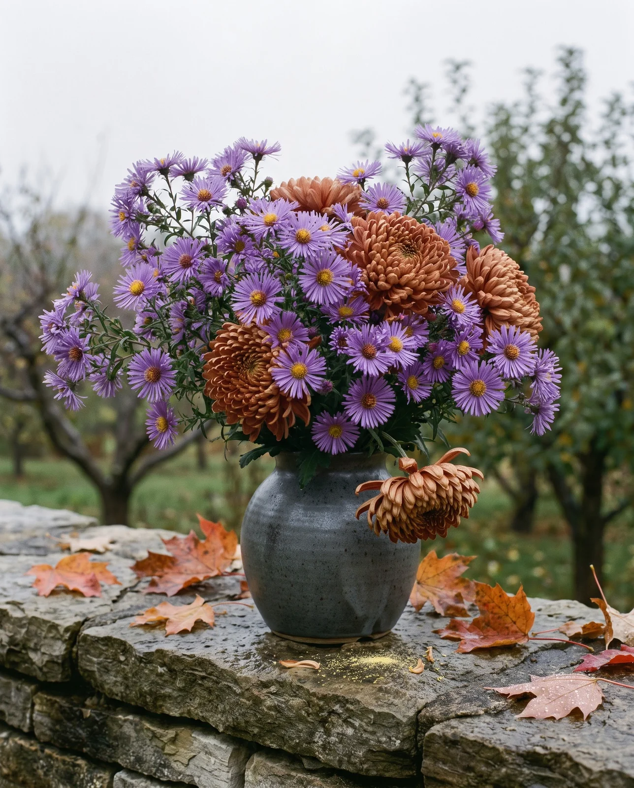 Purple asters and bronze chrysanthemums in vase on outdoor stone wall