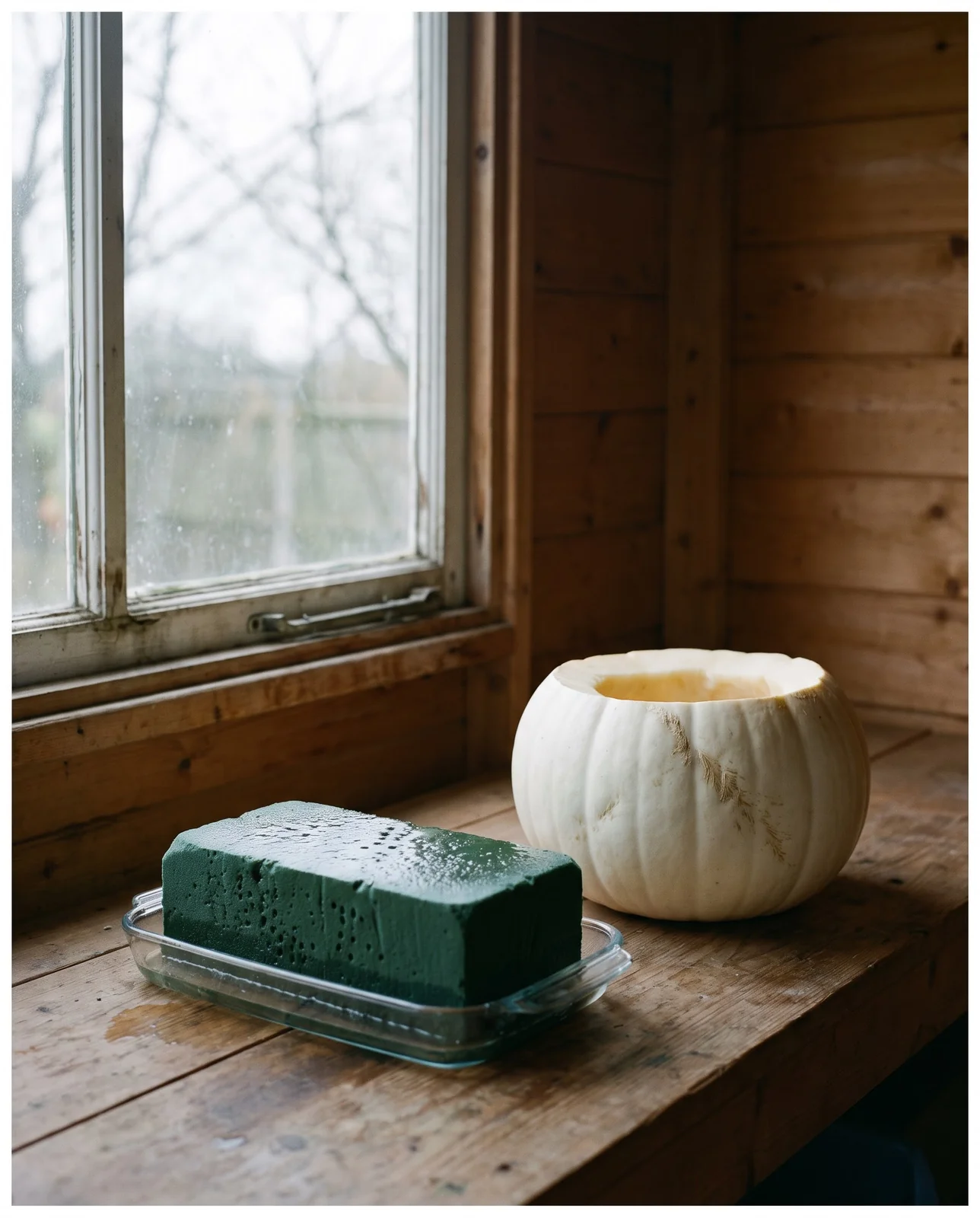 Block of wet floral foam in dish beside carved white pumpkin.