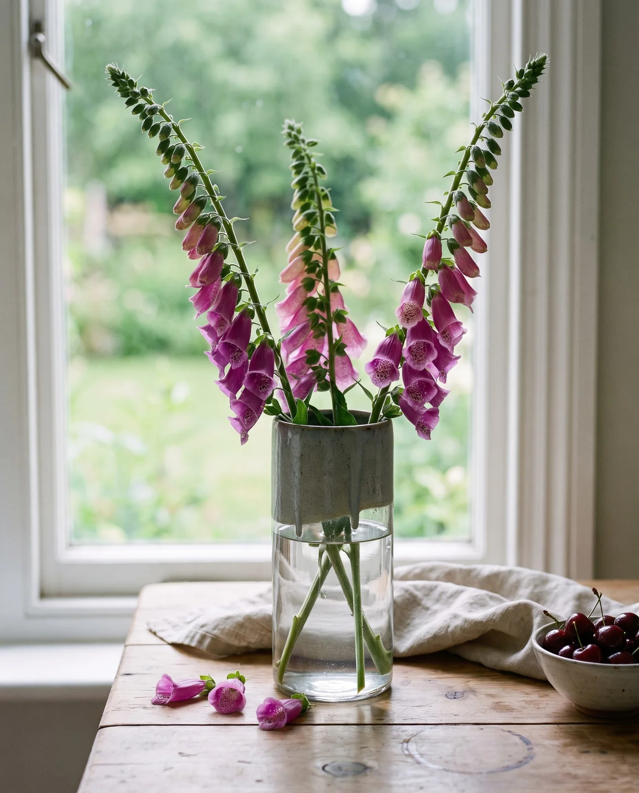 Cut foxglove spikes in a tall stoneware vase on a wooden table by a window in June light