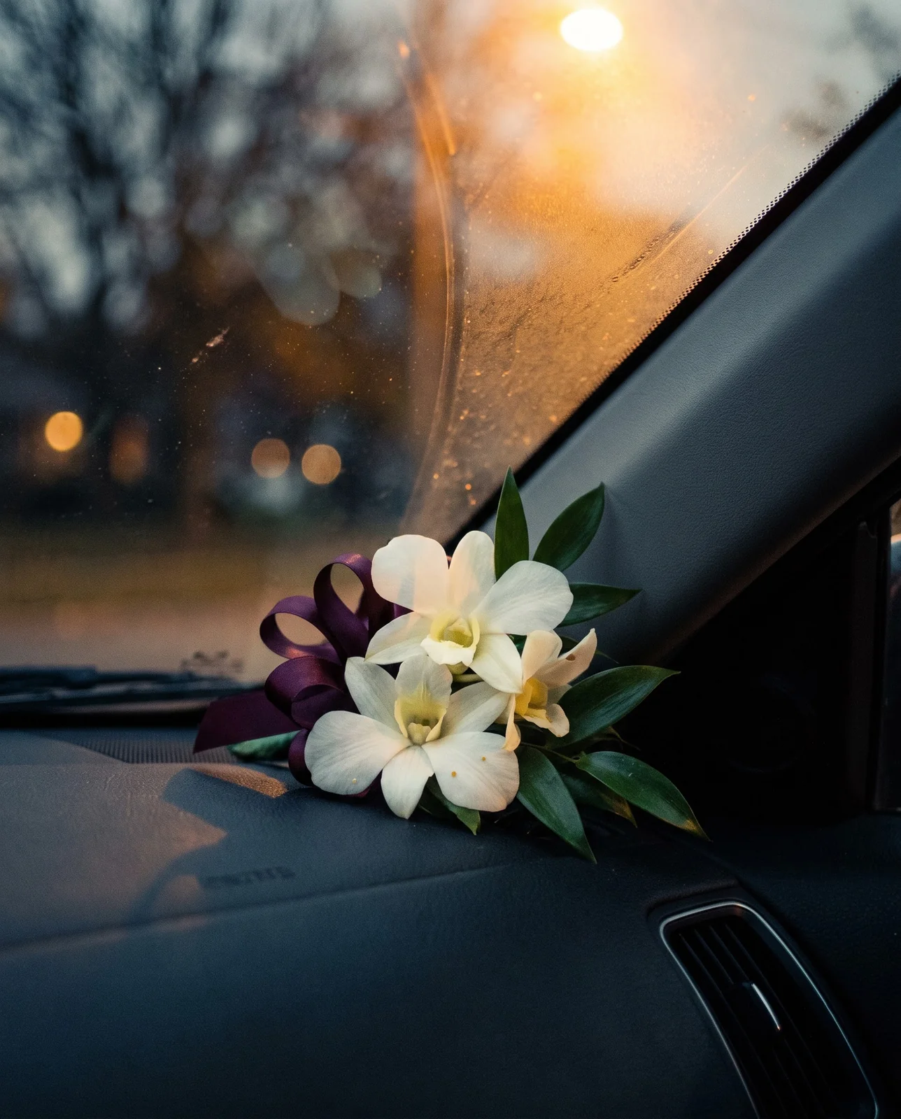 White dendrobium orchid corsage resting on car dashboard beneath amber streetlamp glow.