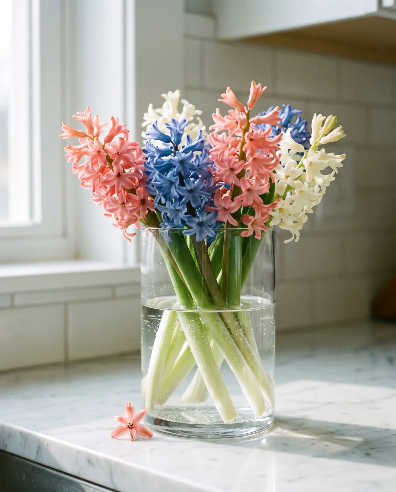 Freshly cut multi-colored hyacinth stems arranged in a clear glass vase.