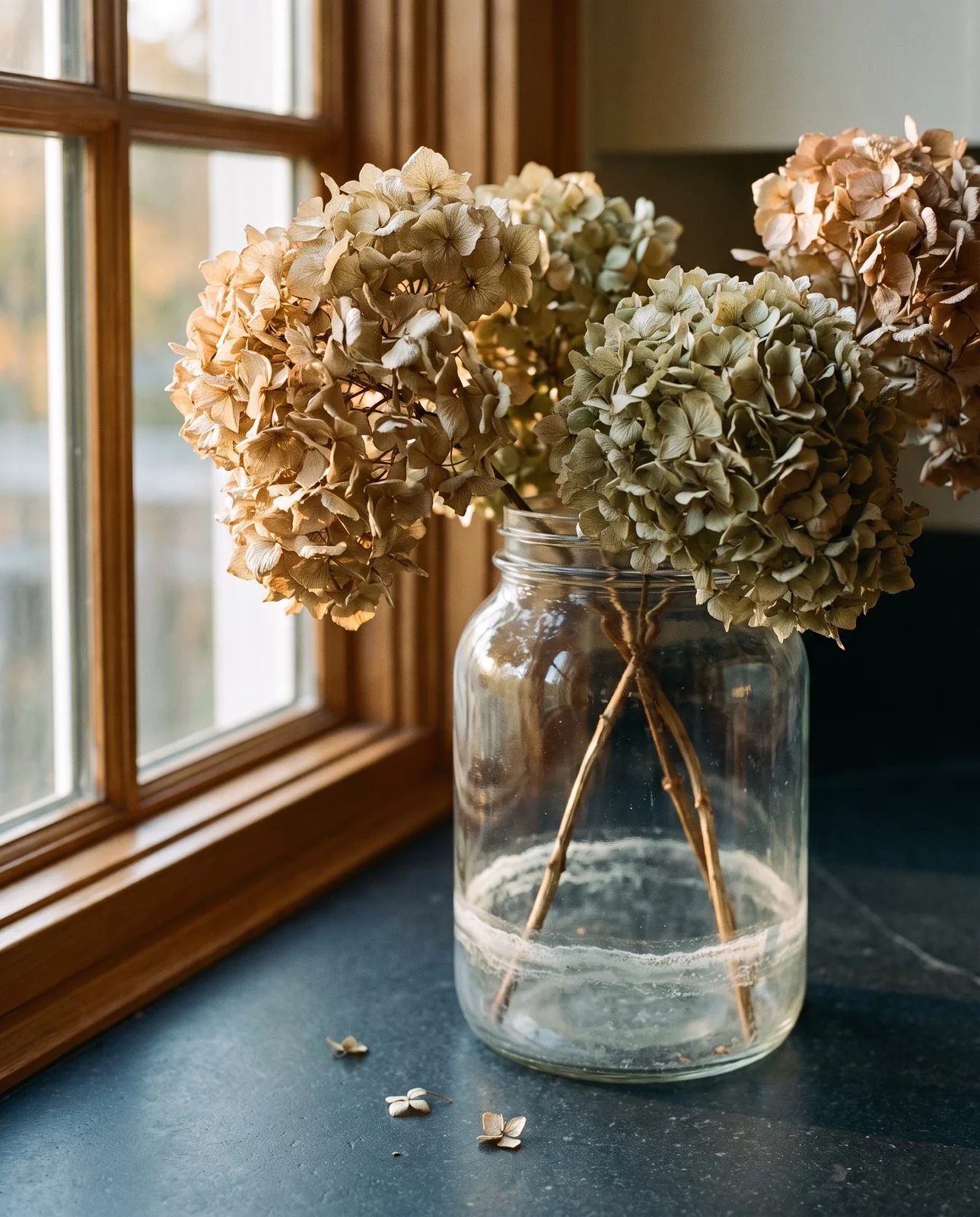 Dried hydrangea stems in jar two weeks later with evaporated water ring