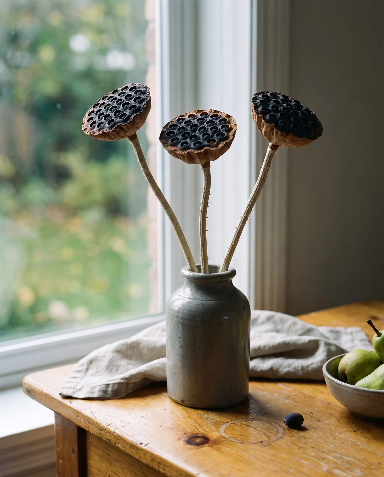 Dried lotus seed heads on tall stems in a stoneware vase on a wooden table by a window