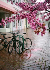 redbud gallery rain branch street