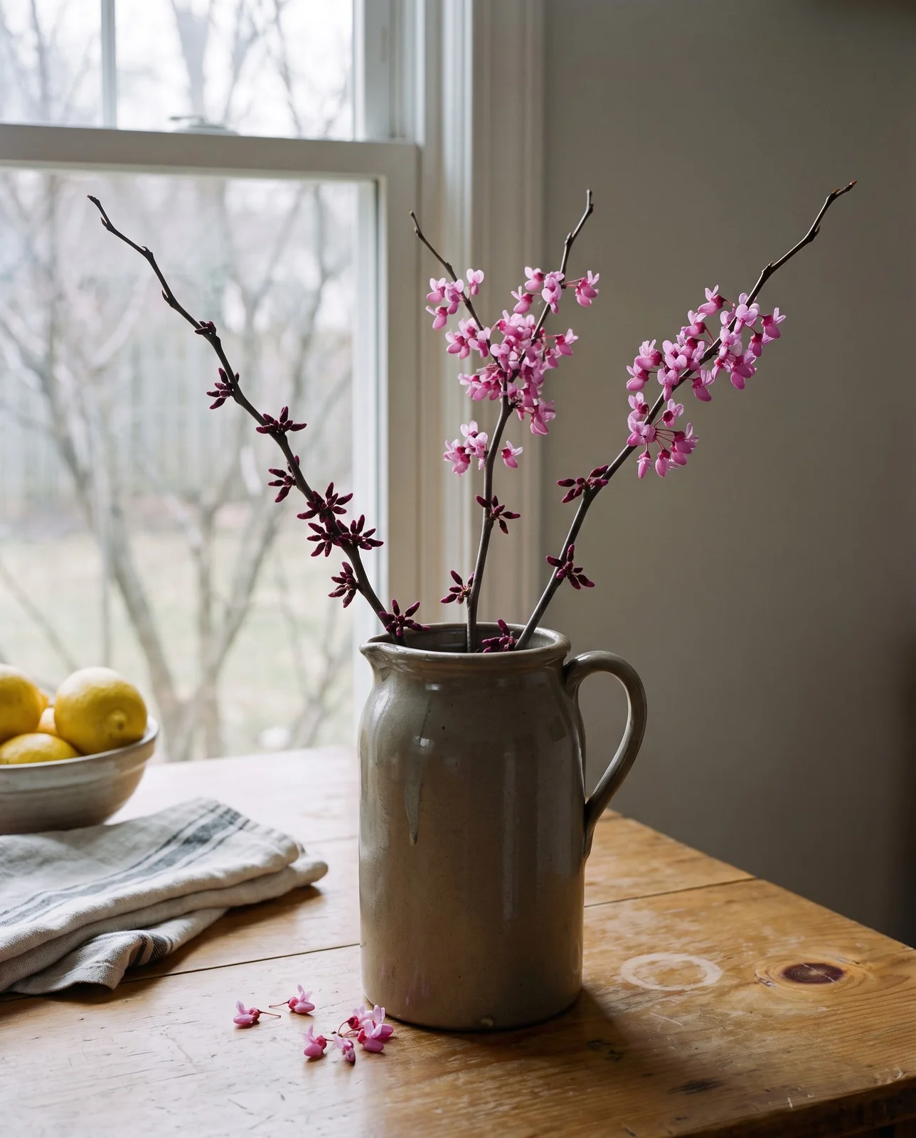 Cut redbud branches opening pink flowers in a stoneware jug on a kitchen table in late winter light