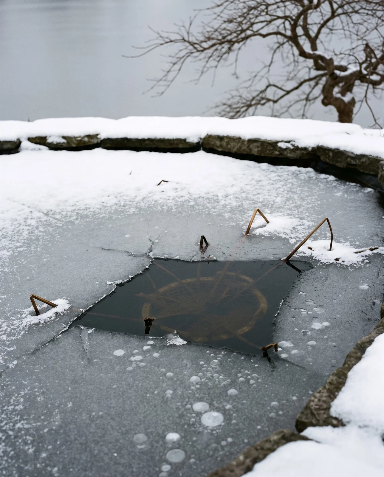 A garden pond in winter with thin ice and a water lily basket just visible sunk in the deepest part