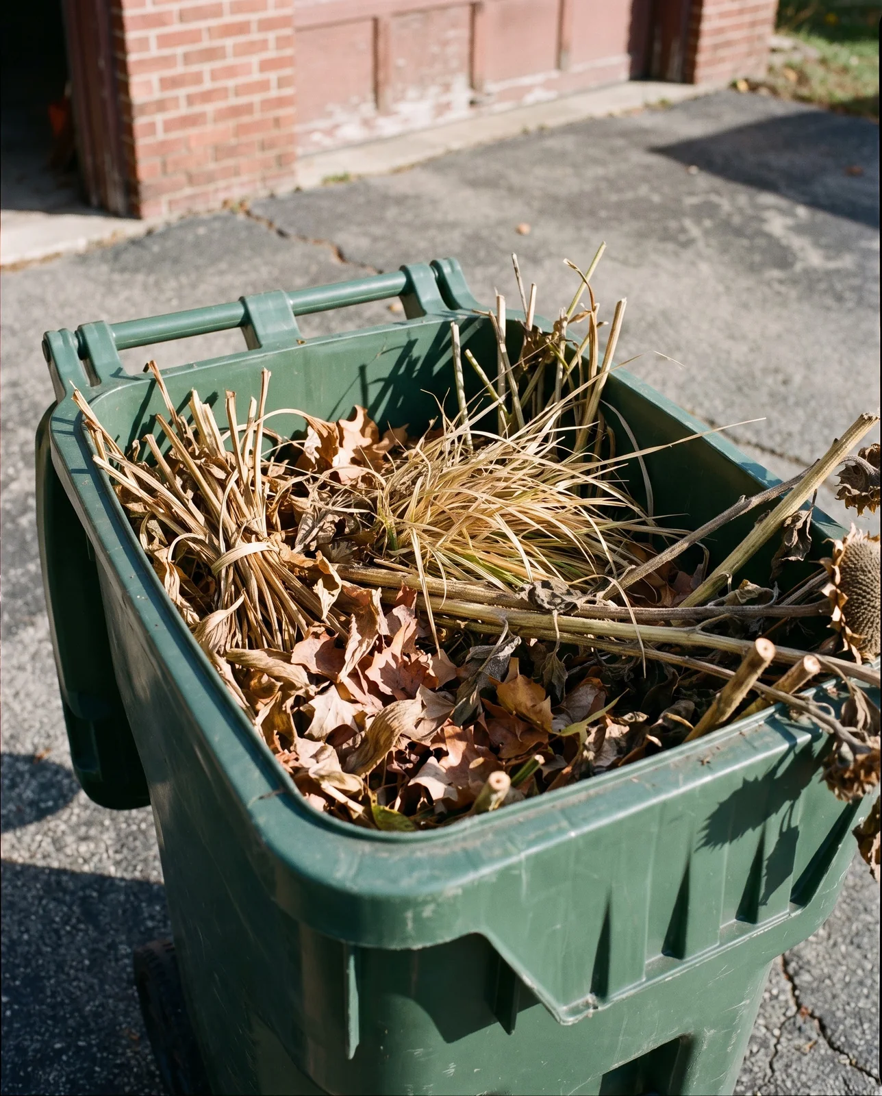 Yard waste bin filled with cut autumn perennial stems and foliage