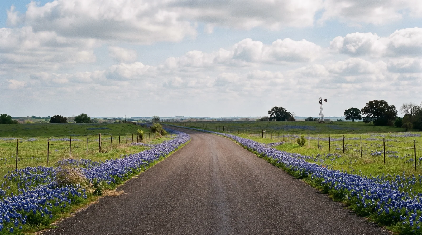 A blackland prairie farm road bending away with both shoulders banded solid blue under a big cloud-marbled sky