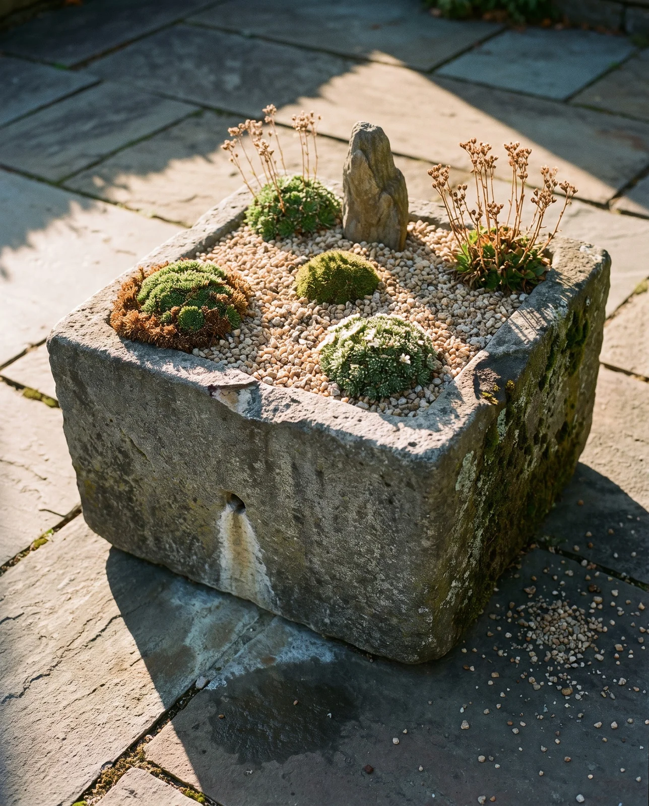 Weathered stone trough on a flagged terrace planted with saxifrage cushions in deep buff grit, drainage staining the stone below