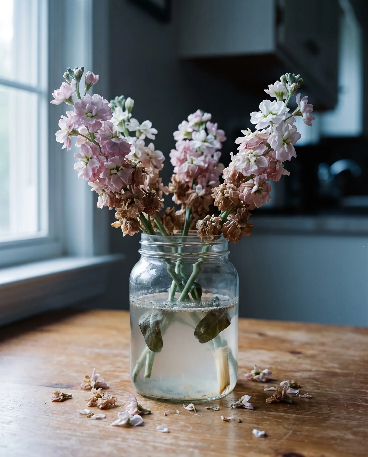 A jar of cut stock on a kitchen table at day seven, browned florets fallen beside it and the water cloudy