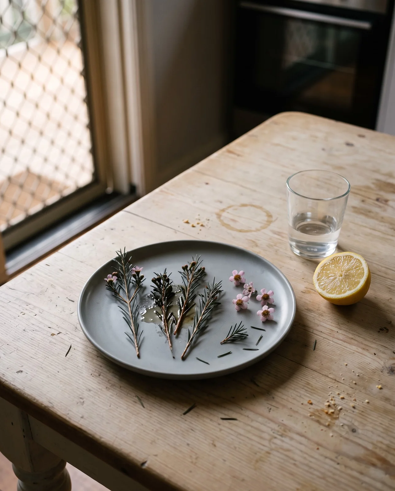 Sprigs of waxflower foliage and a few flowers on a stoneware plate beside a cut lemon on a scrubbed kitchen table