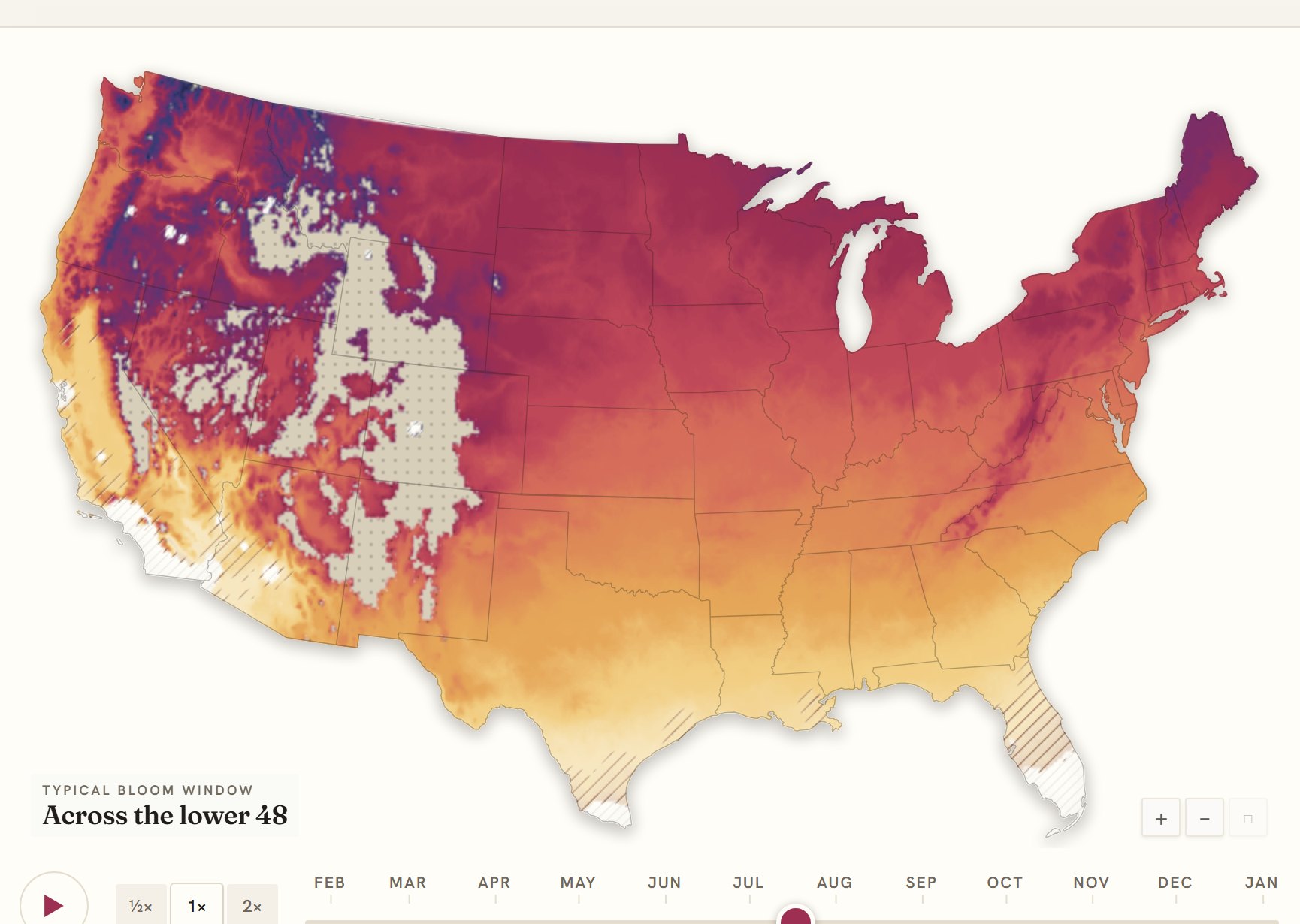 Interactive map of the United States coloured by when begonia blooms, gold in the south through to deep purple in the north
