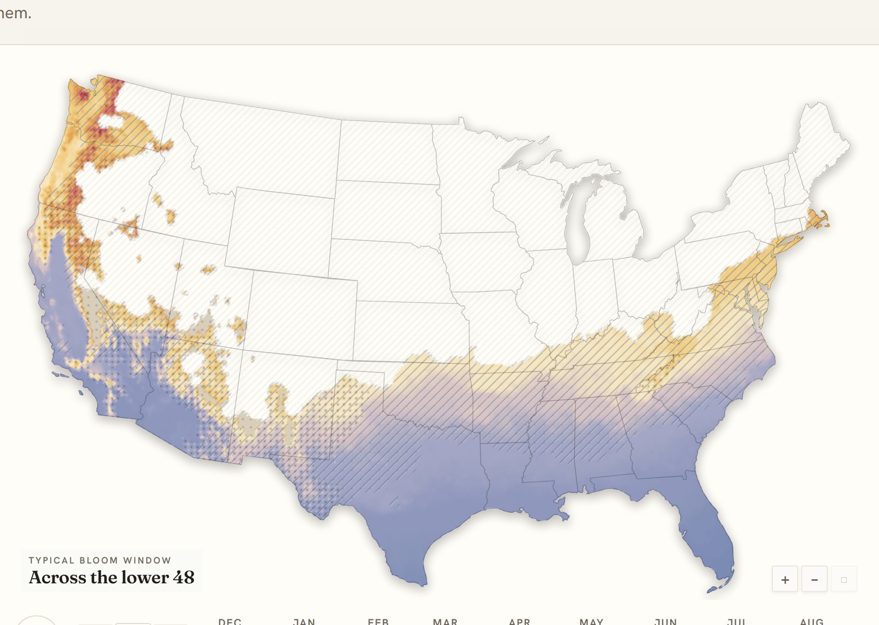 Interactive map of the United States coloured by when camellia blooms, gold in the south through to deep purple in the north