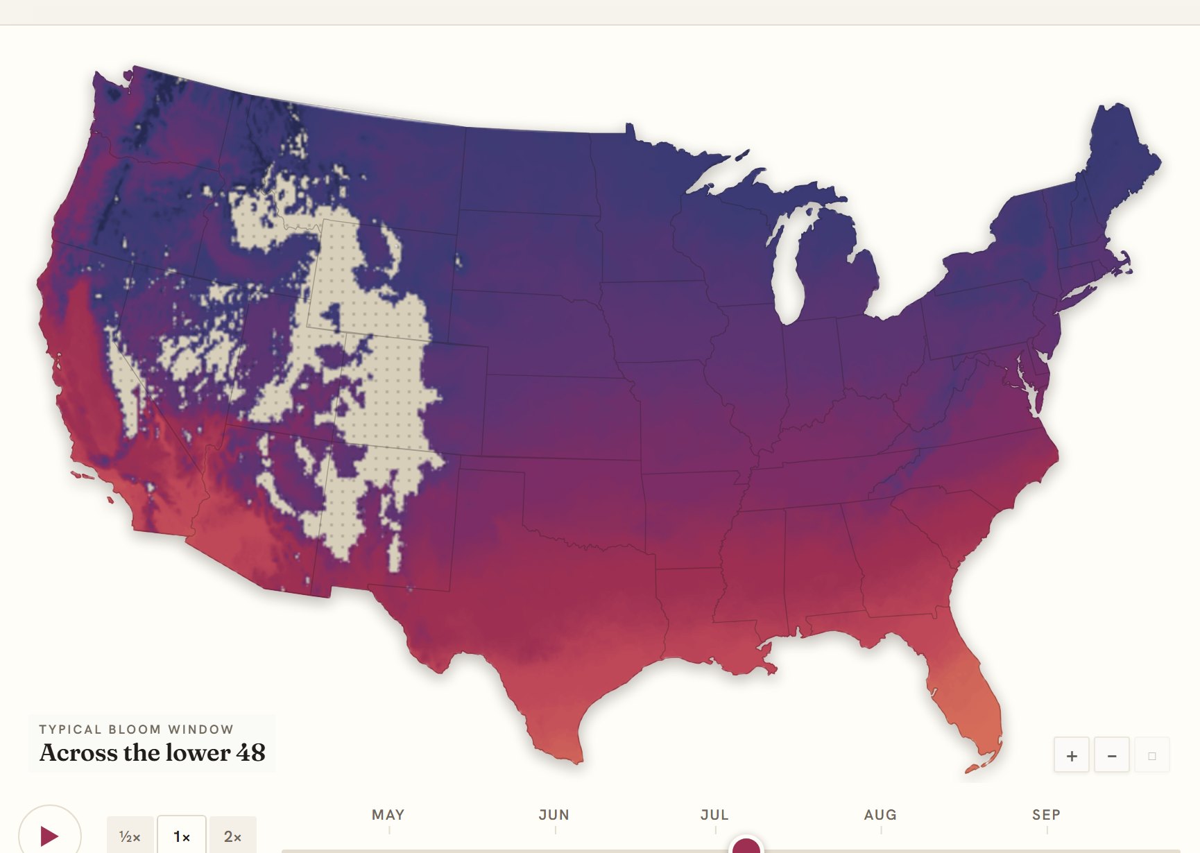 Interactive map of the United States coloured by when daylily blooms, gold in the south through to deep purple in the north