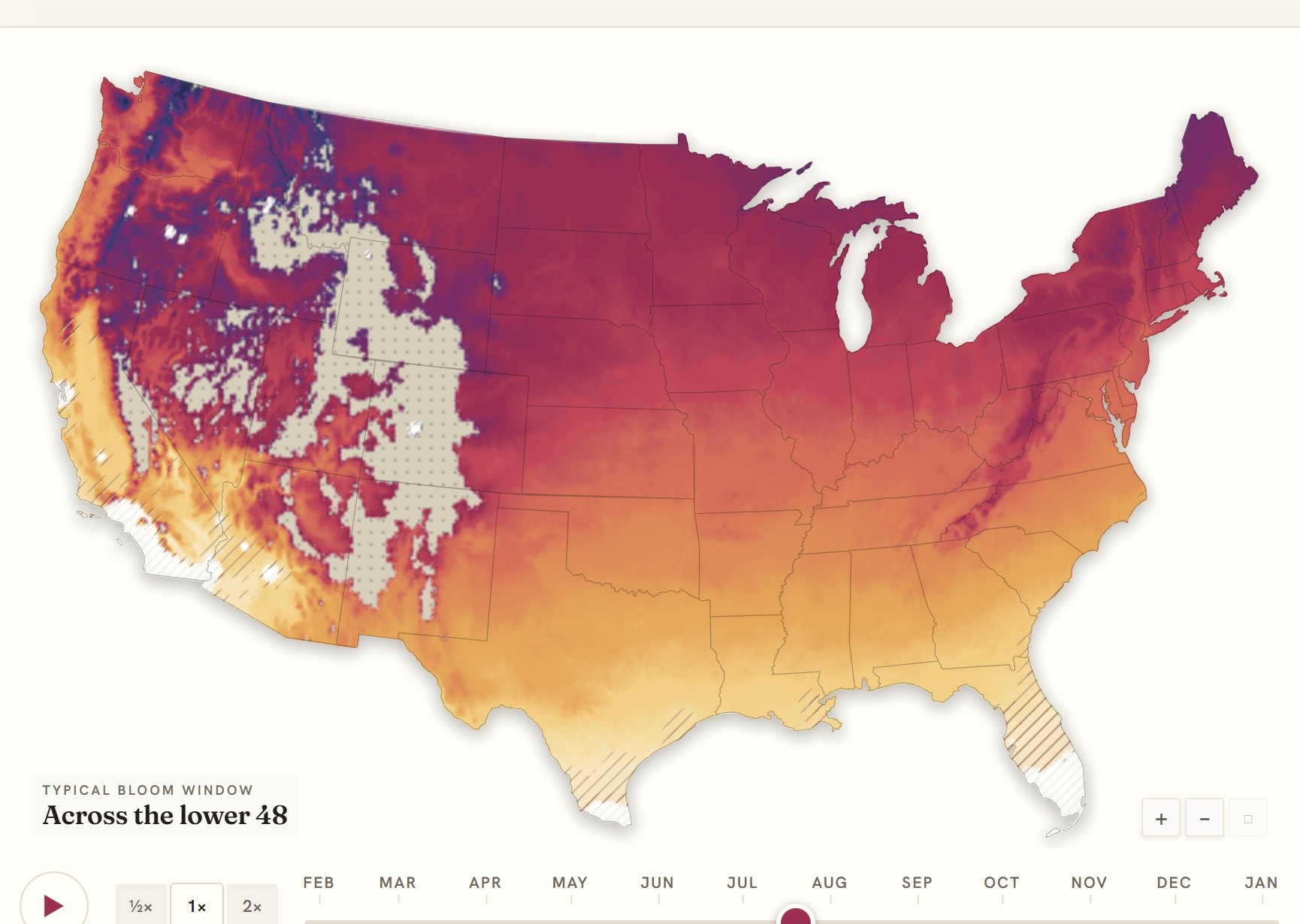 Interactive map of the United States coloured by when impatiens blooms, gold in the south through to deep purple in the north