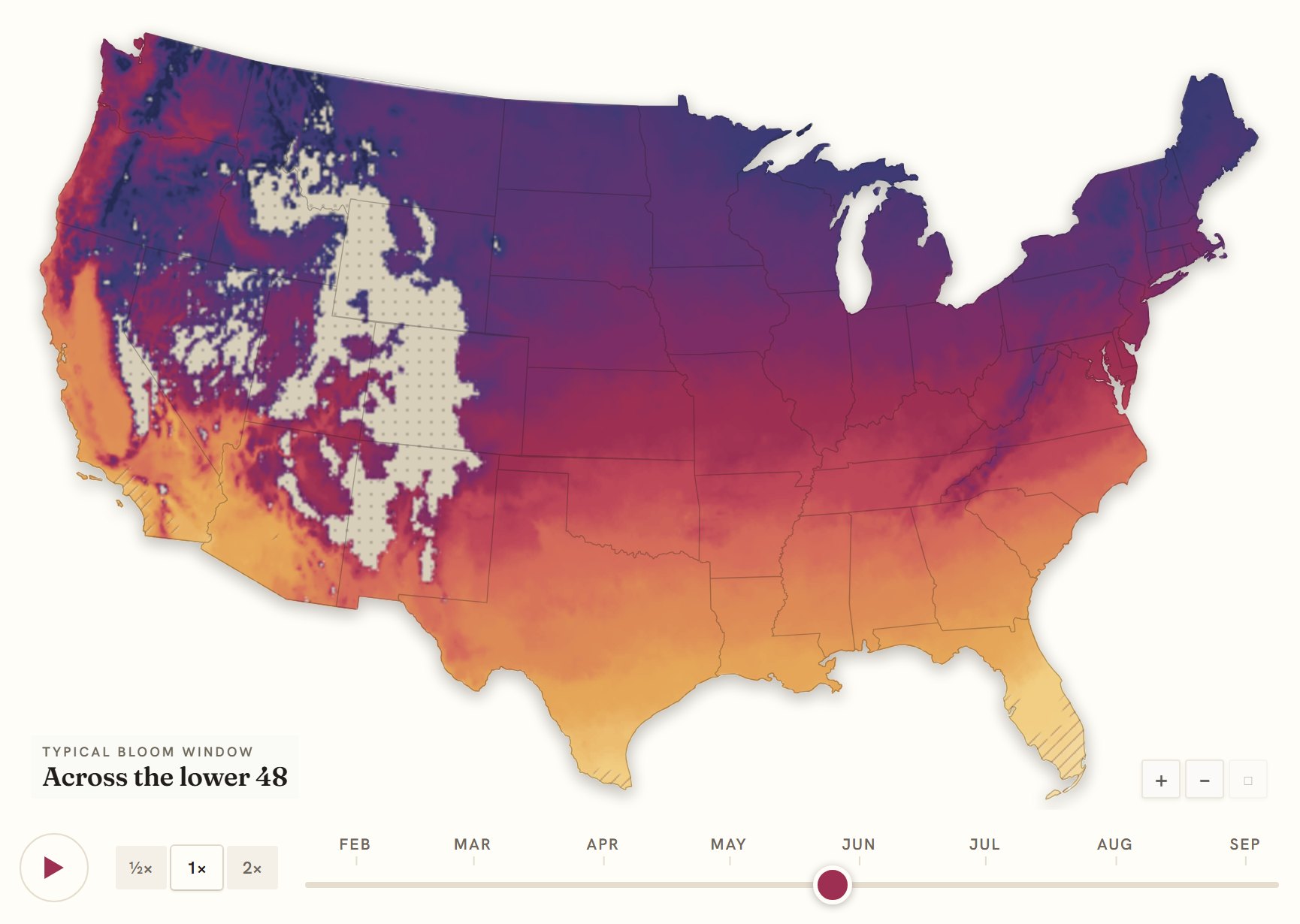 Interactive map of the United States coloured by when iris blooms, gold in the south through to deep purple in the north