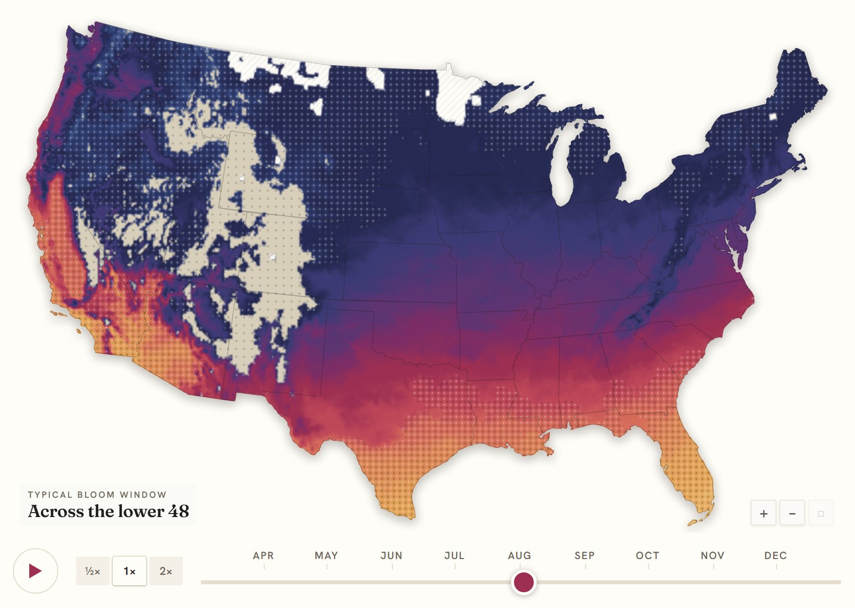Interactive map of the United States coloured by when phlox blooms, gold in the south through to deep purple in the north